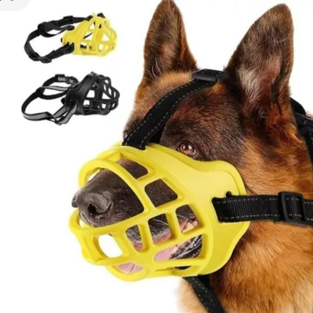 Champú para perro